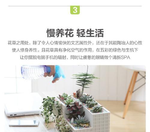 轻松减轻花盆重量的小窍门（让花盆更易搬动，轻松打理花园）-第2张图片-绿意生活