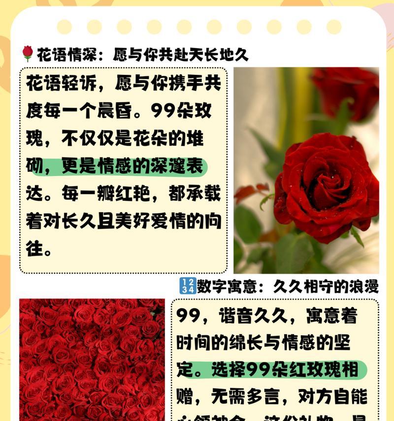 探寻19朵玫瑰花语的深层含义（解读每一朵玫瑰的代表意义，了解更多浪漫语言的秘密）-第3张图片-绿意生活