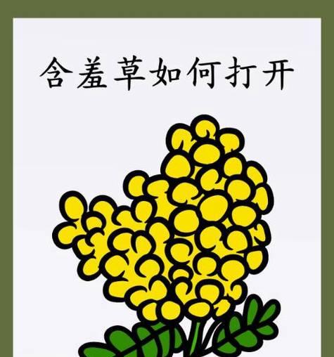 含羞草的奇妙之旅（探秘含羞草的神奇变化与适应能力）-第2张图片-绿意生活