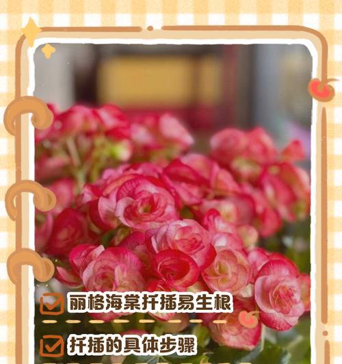 探秘丽格海堂的修剪技巧（打造理想花园的秘密武器及）-第1张图片-绿意生活