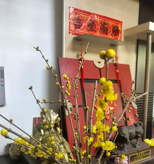 家庭种植腊梅树的方法和注意事项（打造美丽庭院，享受腊梅香）-第3张图片-绿意生活
