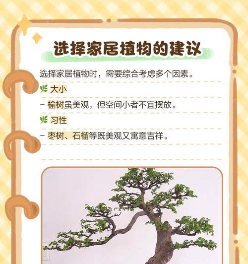 如何养护观赏榆树？（从栽培到修剪，让你的榆树更美丽）-第2张图片-绿意生活