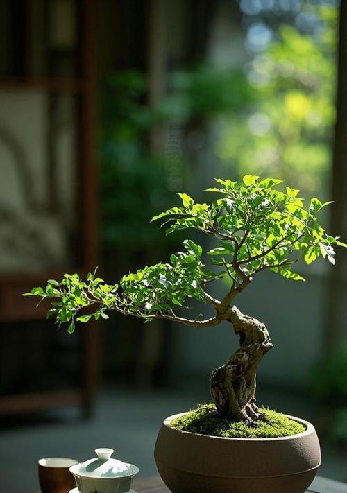 如何养护观赏榆树？（从栽培到修剪，让你的榆树更美丽）-第3张图片-绿意生活