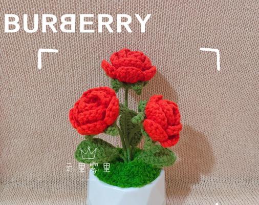如何在冬天正确修剪盆栽玫瑰？（冬季修剪技巧、盆栽玫瑰保健、）-第3张图片-绿意生活