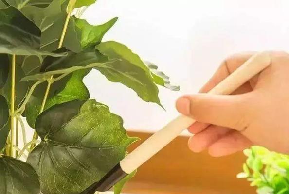 秋天饼肥水浇花的正确方法（打造健康秋花盛景，专家教你如何运用饼肥水浇花）-第2张图片-绿意生活