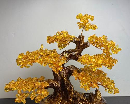 摇钱树的正确浇水方法（掌握浇水技巧，让你的摇钱树茁壮成长）-第3张图片-绿意生活