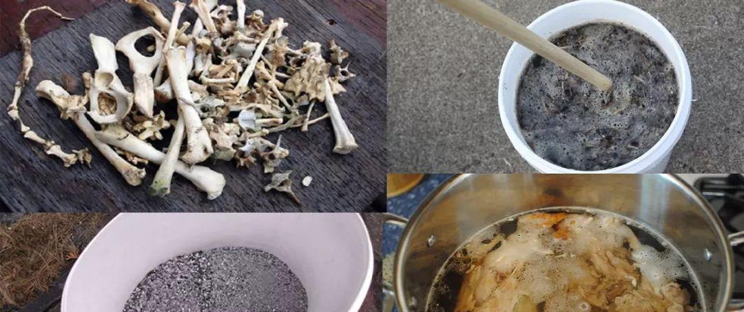 利用茶叶发酵生产高质量花肥（茶叶发酵的关键步骤及其在花肥生产中的应用）-第2张图片-绿意生活