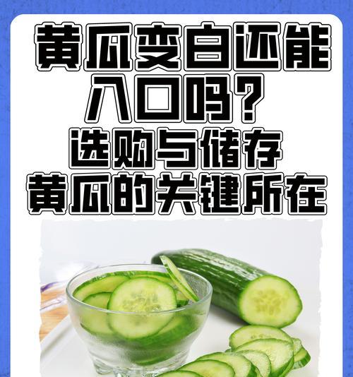 如何保存新鲜的黄瓜？（黄瓜能否放冰箱？）-第3张图片-绿意生活