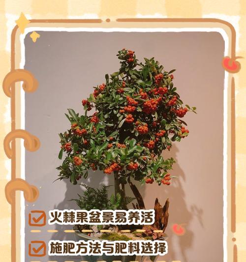 火棘苗的种植技巧与注意事项（打造美丽花园的必备选择）-第1张图片-绿意生活