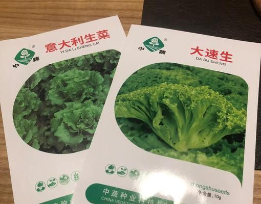 掌握生菜种植技巧，助你种出优质蔬菜（以生菜种子怎么种才能出得好，关键在于科学方法与精细管理）-第1张图片-绿意生活