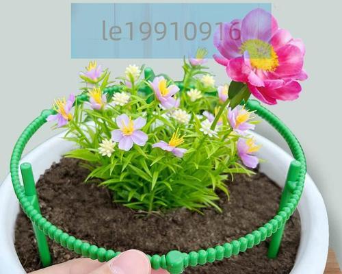 打造简易的太阳花盆栽架，让阳光充满生活（DIY花盆栽架子的简易方法，实现家居阳光种植）-第1张图片-绿意生活