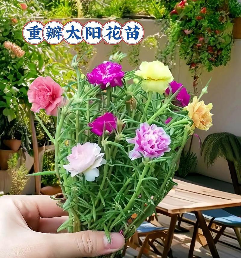 打造简易的太阳花盆栽架，让阳光充满生活（DIY花盆栽架子的简易方法，实现家居阳光种植）-第2张图片-绿意生活