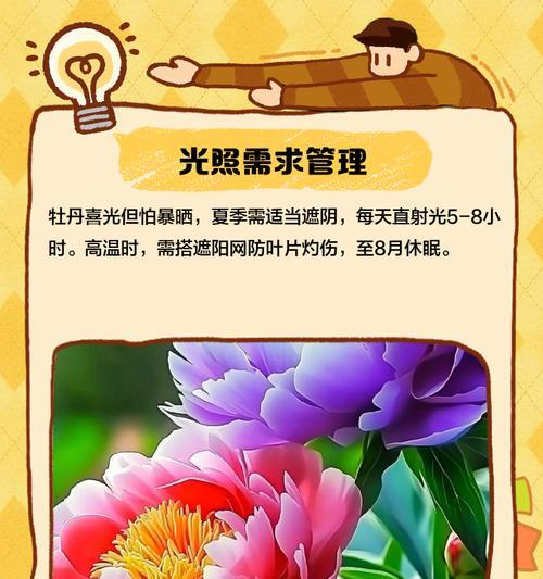 室内牡丹越冬的养护技巧（掌握关键步骤，让牡丹在室内安全越冬）-第2张图片-绿意生活