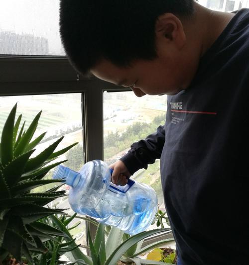 可乐可以浇芦荟吗？（探秘可乐浇芦荟的真相）-第1张图片-绿意生活