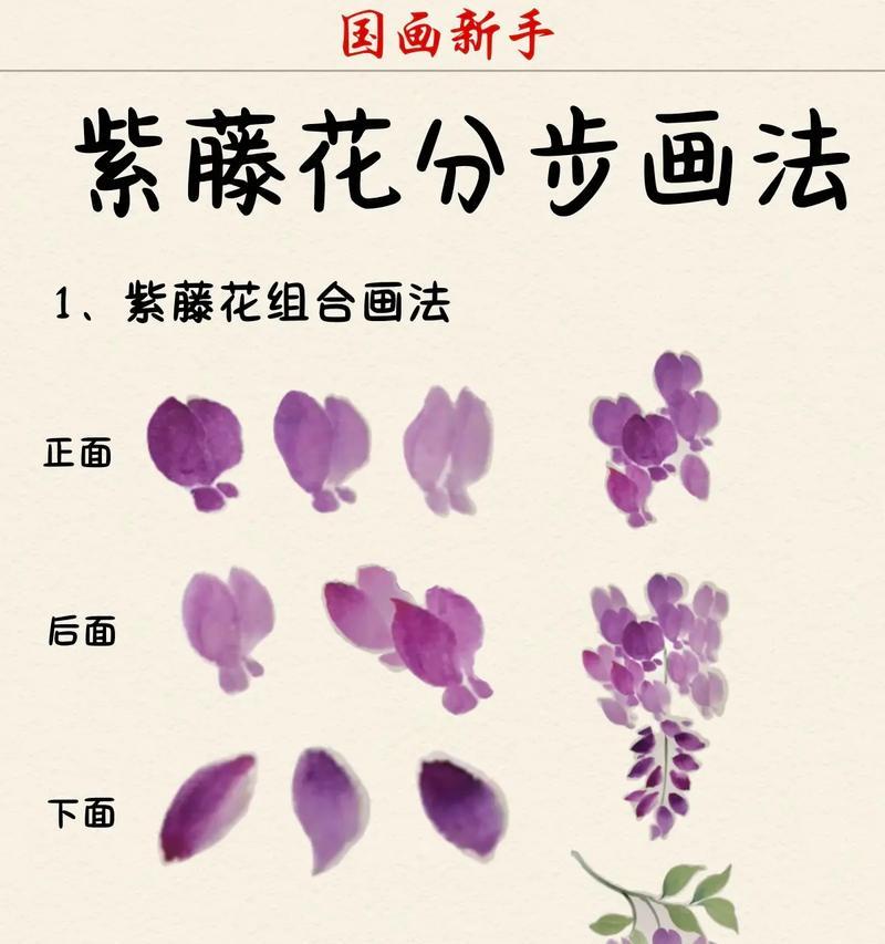 以多花紫藤的种植技巧与繁殖方法（打造美丽花坛的不二选择，多花紫藤带来的绚丽色彩与迷人芳香）-第2张图片-绿意生活
