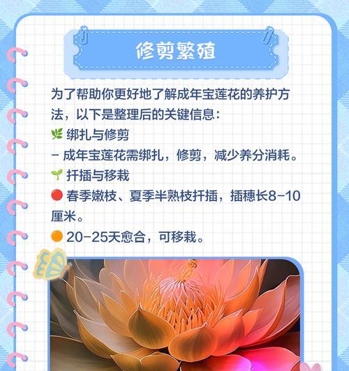 提升宝莲花多开花的技巧（培育方法、光照与水分管理、施肥要点等关键因素）-第2张图片-绿意生活