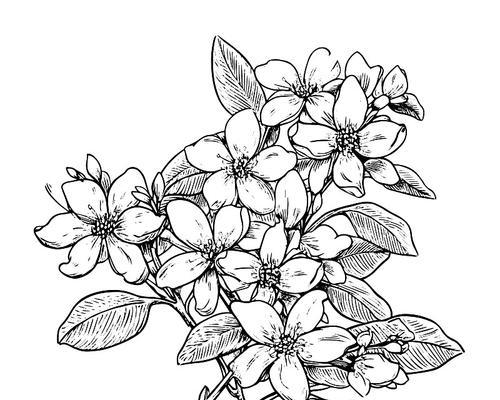 茉莉花瓣的绘画技巧（揭秘茉莉花瓣绘画的魅力与技巧）-第2张图片-绿意生活