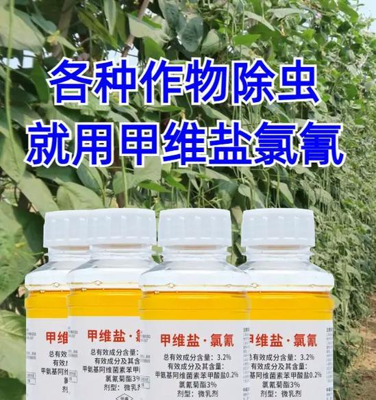 如何有效杀灭荷包虫（以荷包虫为害不小的寄生虫，我们应该怎样防治呢？）-第1张图片-绿意生活