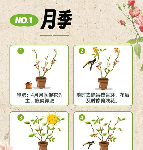 养花的关键（打造健康花园的必备指南）-第1张图片-绿意生活