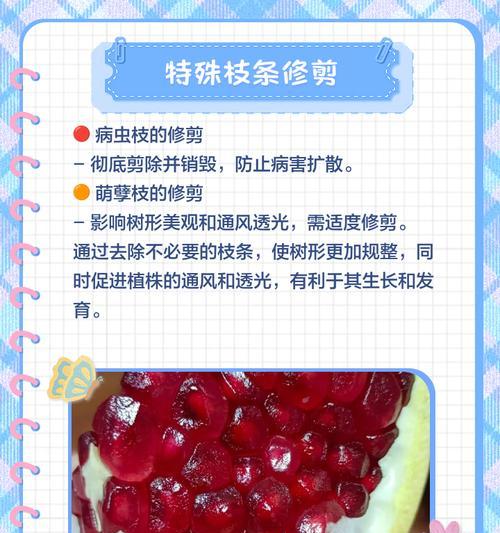 石榴花开完花的修剪方法（提升石榴花开放程度的关键技巧与注意事项）-第1张图片-绿意生活