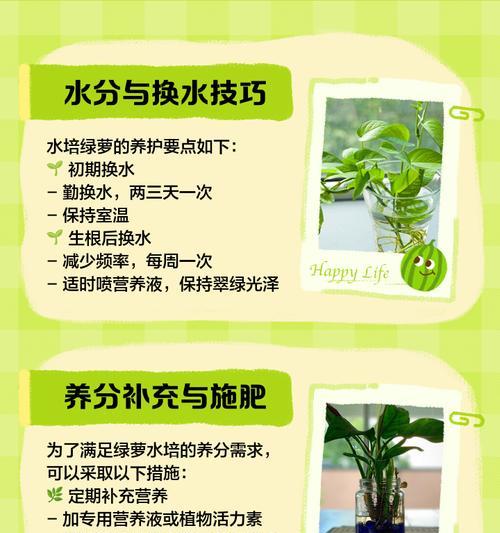 救救绿萝！水养烂根的有效方法（救绿萝一命，拯救烂根困扰）-第1张图片-绿意生活