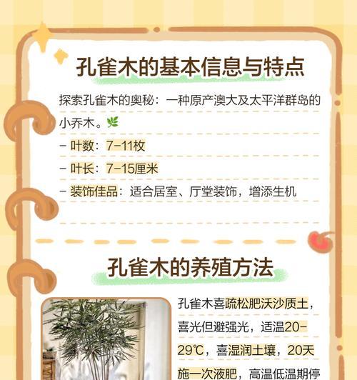 孔雀木的养护指南（如何让孔雀木长得更健壮）-第2张图片-绿意生活