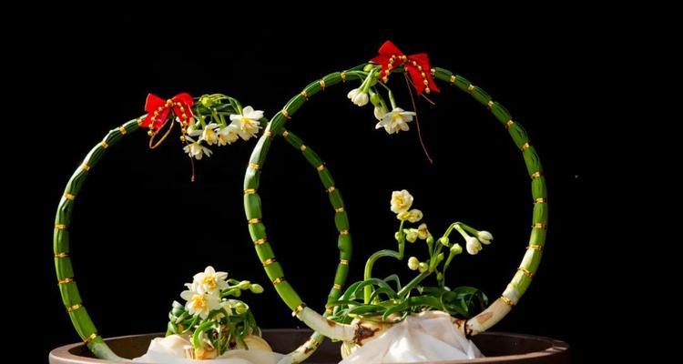 水仙花（探索水仙花的生长之谜与艺术之美）-第1张图片-绿意生活