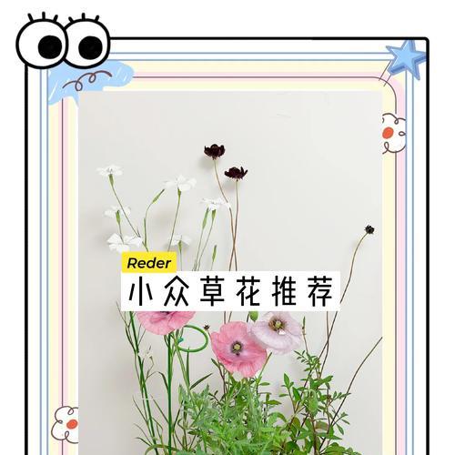 草花的培育技巧与注意事项（打造美丽花园的秘诀，让草花绽放绚丽色彩）-第3张图片-绿意生活