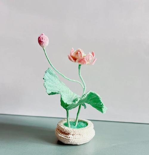 合理追肥，让缸栽荷花绽放生机（缸栽荷花追肥技巧与注意事项）-第2张图片-绿意生活