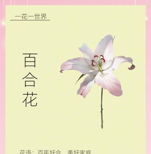百合花的生长周期（了解百合花的成长规律，打造优美花园）-第2张图片-绿意生活