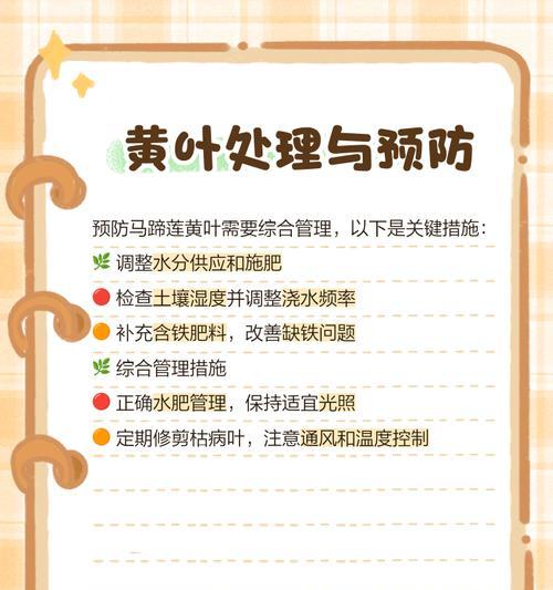 马蹄莲不开花原因及处理方法（诊断不开花的马蹄莲——解决不开花的关键）-第3张图片-绿意生活