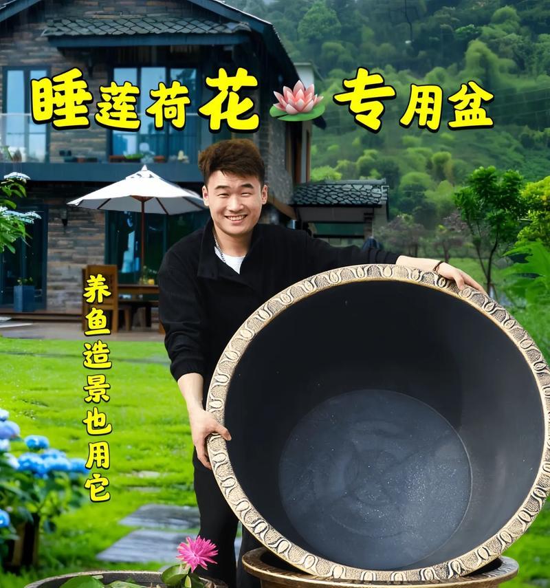 以睡莲来年怎么翻盆？（打造美丽花园的关键步骤及注意事项）-第3张图片-绿意生活