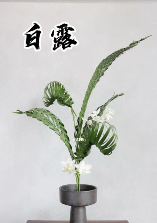 用散尾葵编织造型，创造独特的植物艺术（通过创意编织，打造独一无二的散尾葵造型艺术品）-第3张图片-绿意生活