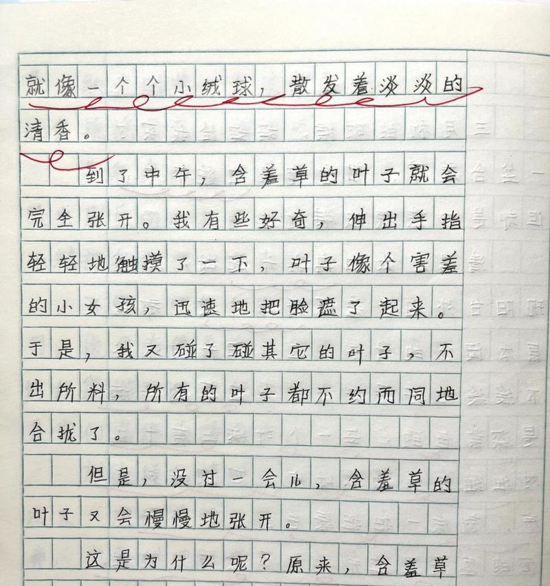 揭秘含羞草神秘面纱（探寻含羞草的外貌、习性、生长环境等特征）-第3张图片-绿意生活