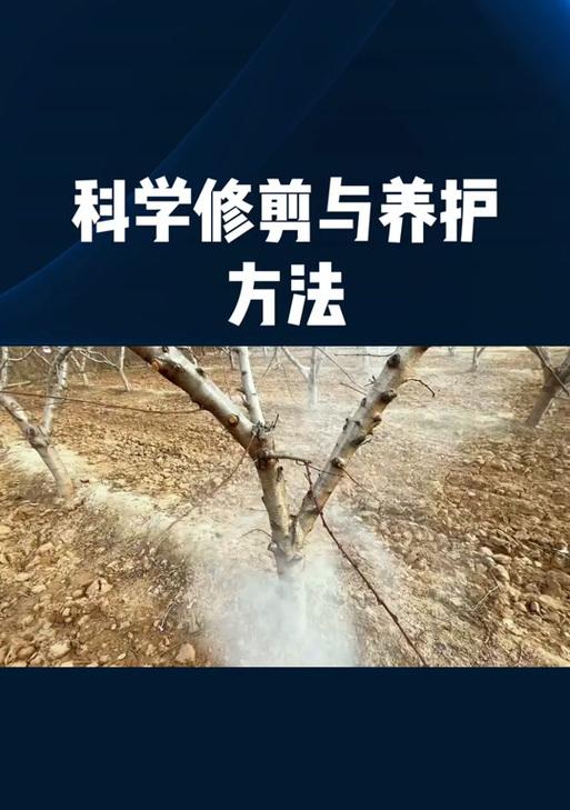 火龙果修剪技术图解（快速掌握火龙果修剪技巧，让你的火龙果更健康、更美观）-第3张图片-绿意生活