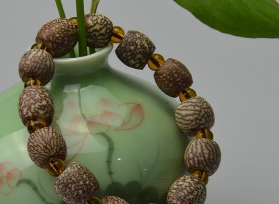 了解金丝菩提，探寻佛教中的神树（金丝菩提的起源、外观、生长环境、珍贵价值和寓意）-第3张图片-绿意生活
