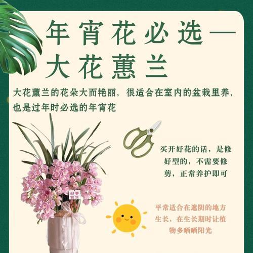夏季惠兰的养护全攻略（打造花园中的绚丽瑰宝，轻松掌握养殖技巧）-第3张图片-绿意生活