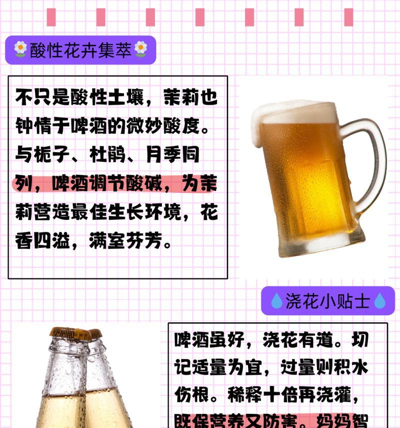 啤酒浇花，怎么选？（了解啤酒配花的秘密，做一名懂花艺的人）-第2张图片-绿意生活