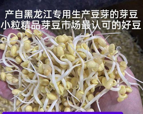 黄豆水培好还是土培好？（探究黄豆种植方法的优缺点）-第2张图片-绿意生活