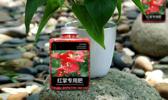 用复合肥浇红掌的正确方法（使用复合肥让红掌更健康成长）-第1张图片-绿意生活