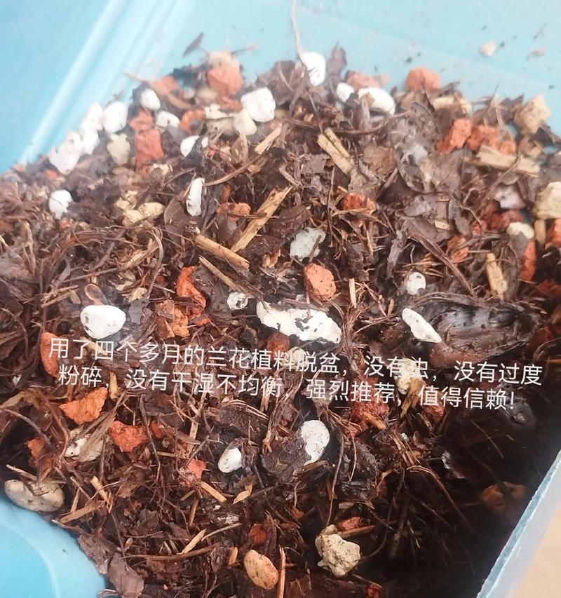 兰花养护与倒盆技巧（学会兰花的正确养护方法，让你的兰花更加健康美丽）-第2张图片-绿意生活