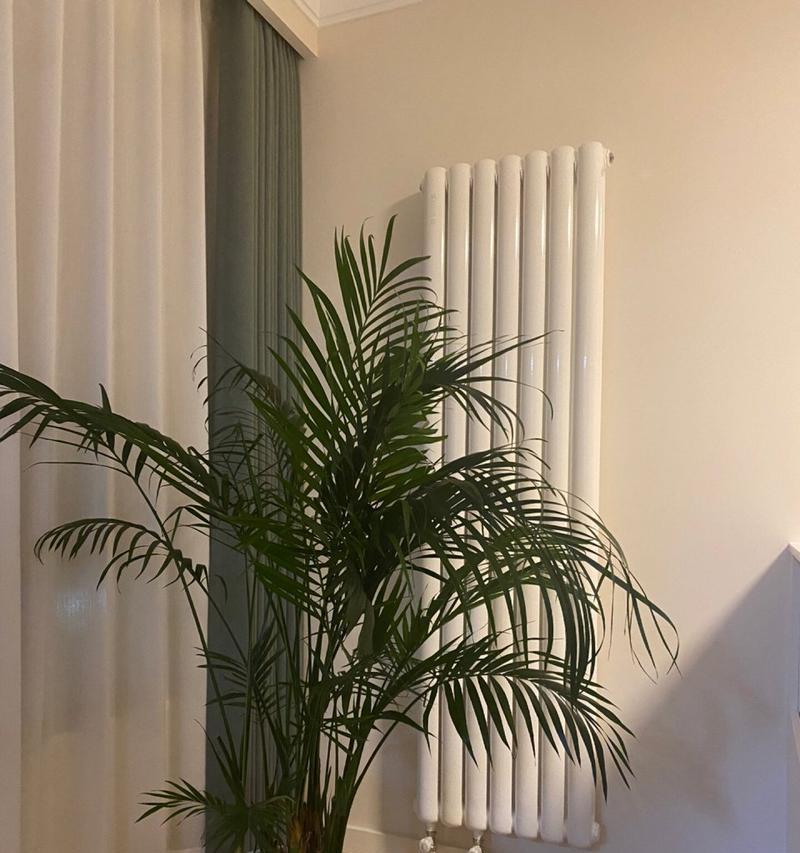 如何解决室内暖气植物不透气的问题（舒适环境）-第2张图片-绿意生活