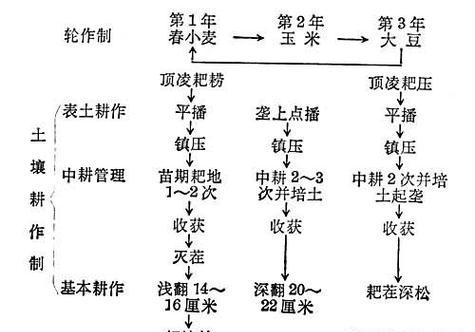 土壤发红的调理方法（解决土壤发红的有效措施及操作技巧）-第1张图片-绿意生活