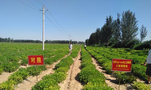 土壤发红的调理方法（解决土壤发红的有效措施及操作技巧）-第3张图片-绿意生活