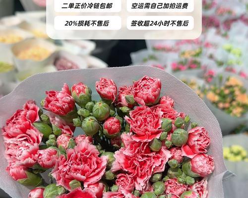 多头康乃馨鲜花的养护指南（打造美丽康乃馨花坛，）-第3张图片-绿意生活