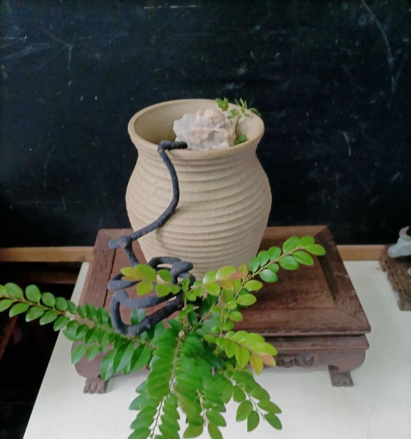 小叶紫檀盆景底部生虫子的处理方法（小叶紫檀盆景底部生虫子的原因及防治措施）-第1张图片-绿意生活