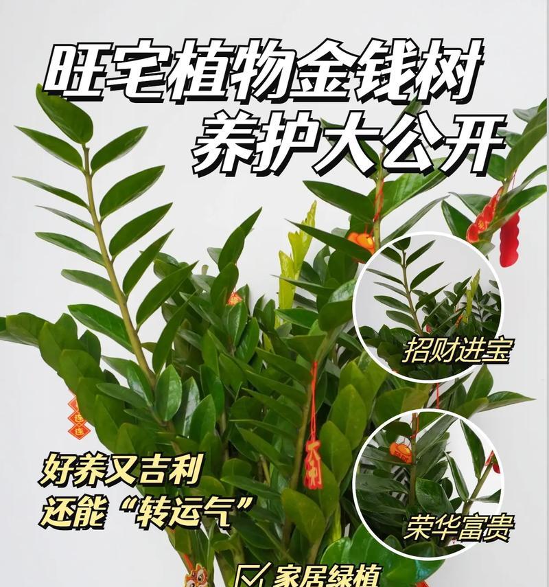 秋季黄叶怎么处理（保护环境从处理秋季黄叶开始）-第1张图片-绿意生活