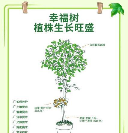 秋季黄叶怎么处理（保护环境从处理秋季黄叶开始）-第2张图片-绿意生活