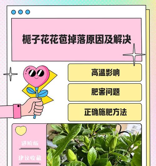 栀子花受虫卵侵害的防治措施（保护栀子花健康成长，远离虫卵侵害）-第1张图片-绿意生活