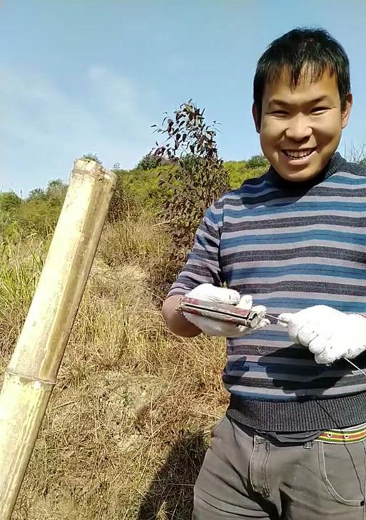 如何种植月兔耳的种子（从播种到收获，轻松种植月兔耳）-第3张图片-绿意生活
